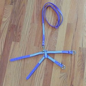 Blinged out purple harness & leash